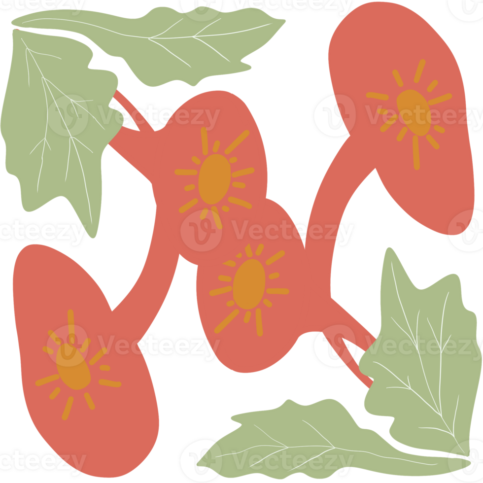 A simple and modern illustration of abstract flowers with coral-red petals and yellow sun-like centers. png