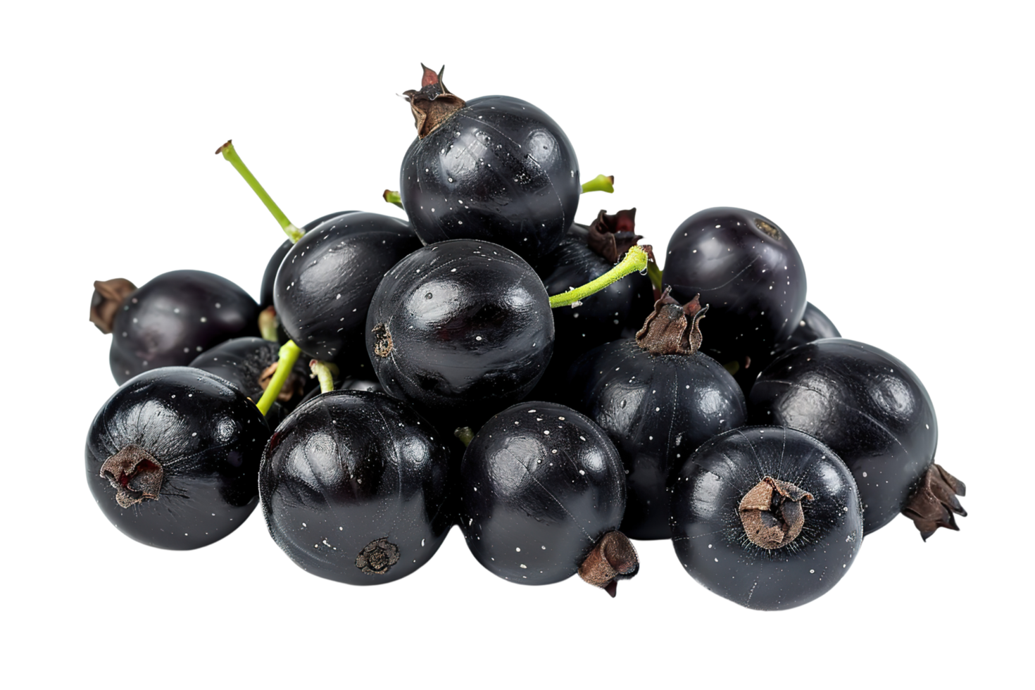 Blackcurrant berries isolated on a transparent background. png