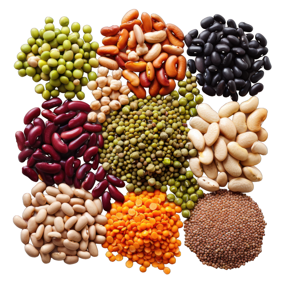 collection of different cereals transparent background png