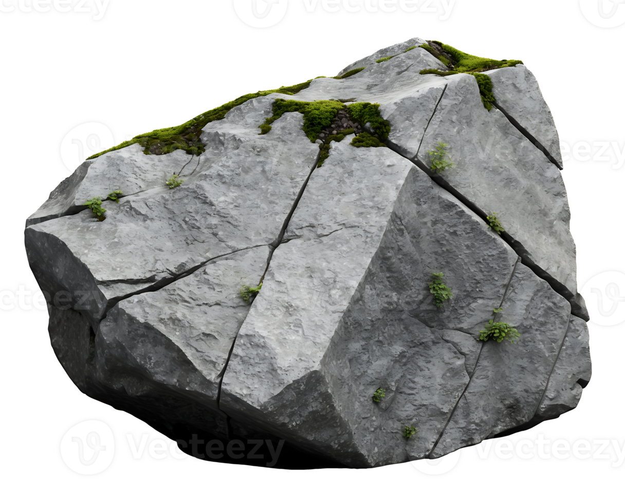 a rock with grass and plants on it png