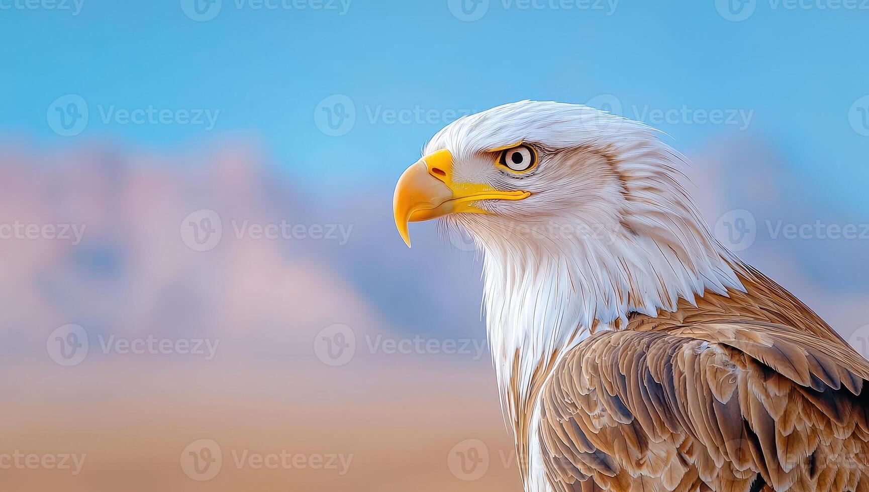 Portrait of a majestic bald eagle against a blurred desert background. photo