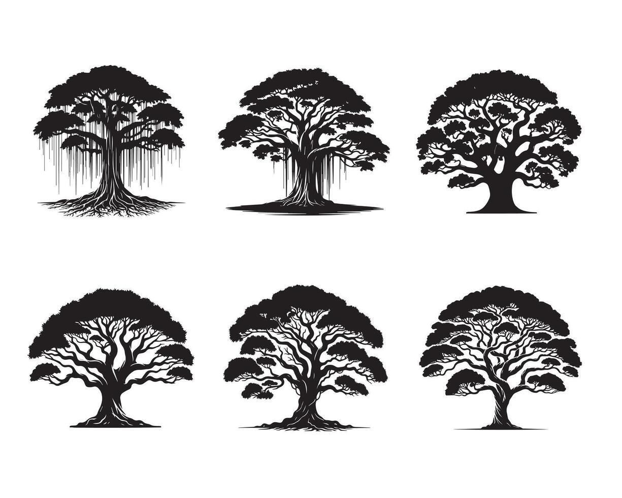Set of Banyan tree Silhouette Design - Banyan Plant ClipArt illustration vector
