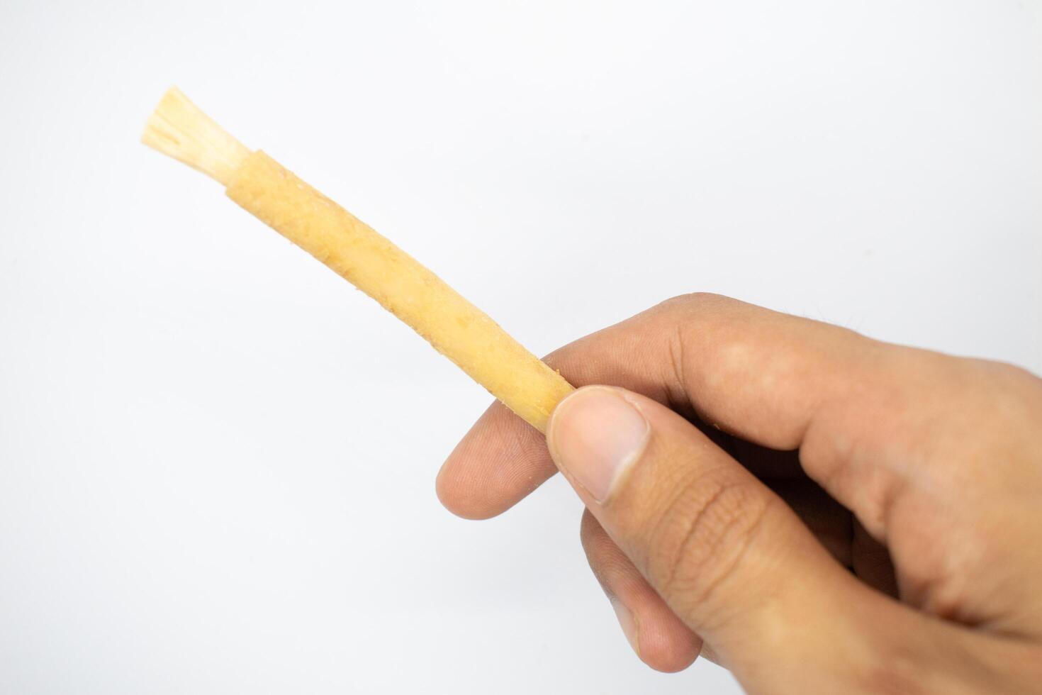 holding miswak or siwak toothbrush on isolated white background. photo