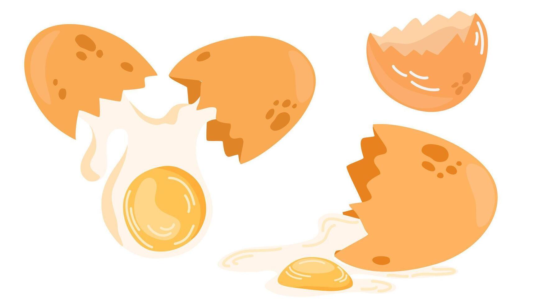 Fresh and boiled eggs. Cartoon broken eggs with cracked eggshell and egg half with yolk. Flat illustration isolated on the white background vector
