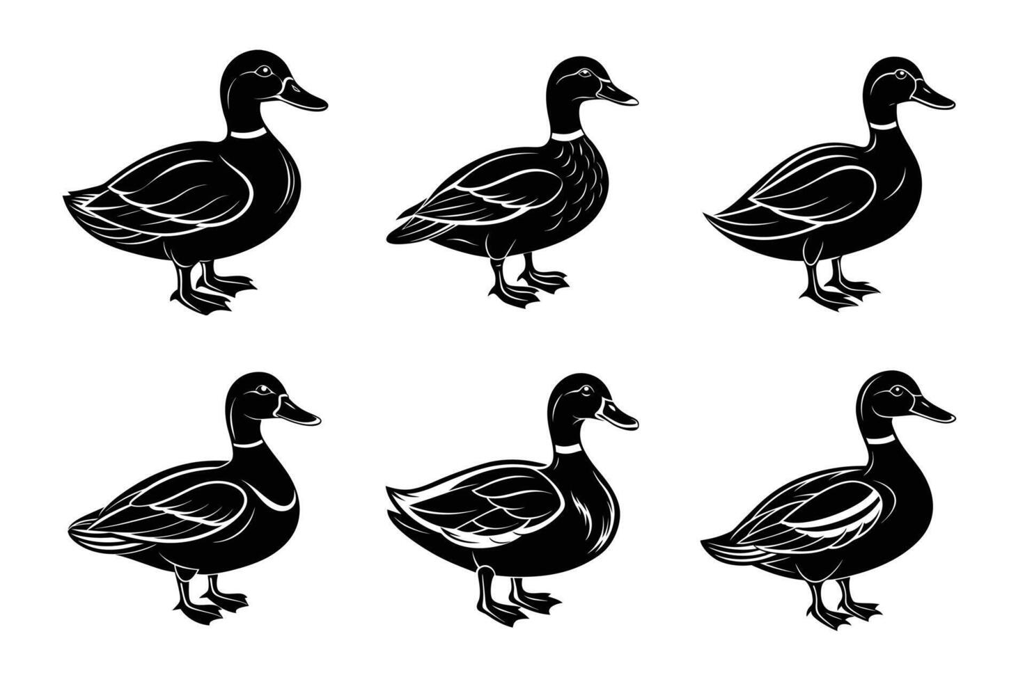 silhouette design of Mallard Duck vector