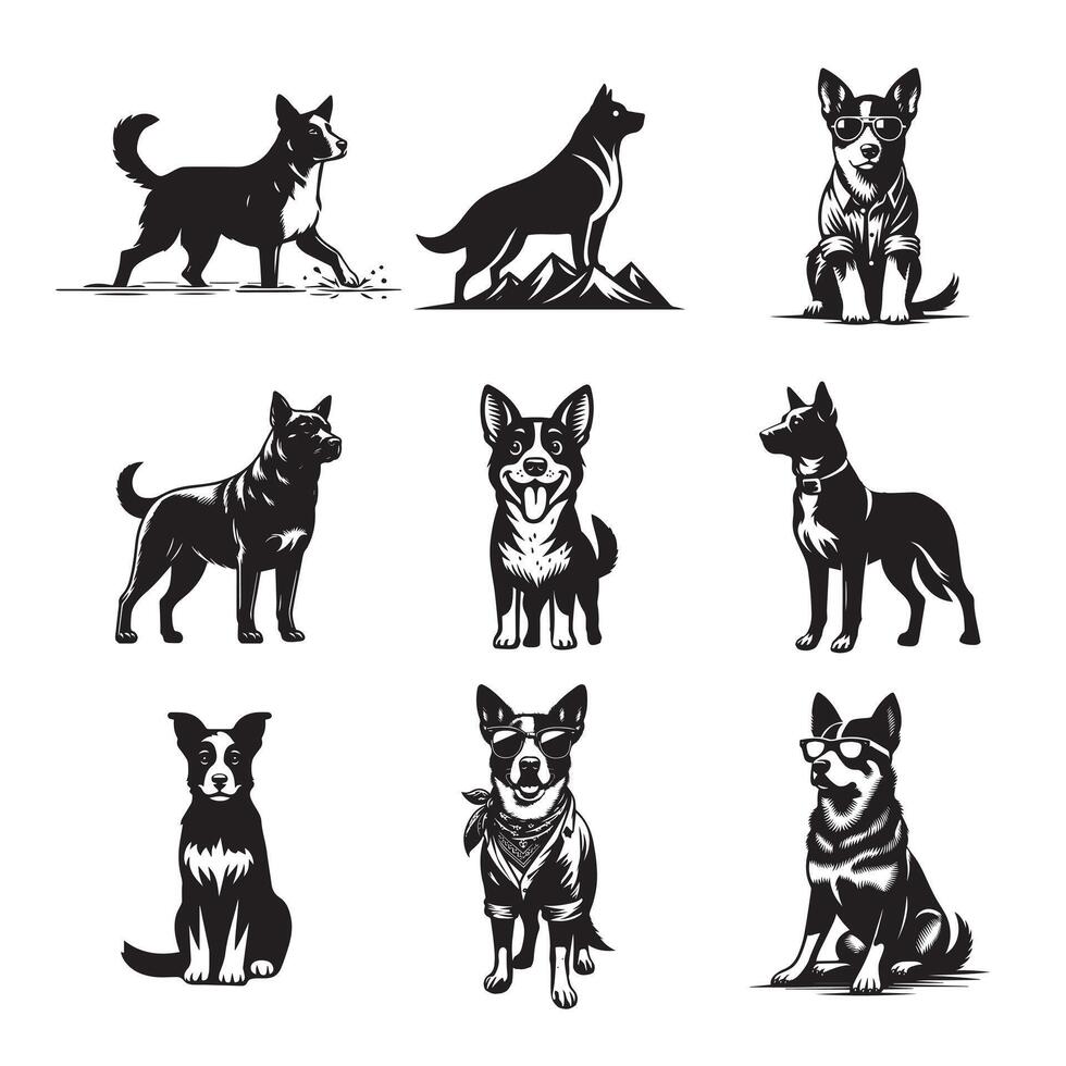 Collection of Australian Cattle Dog illustration - Australian Cattle Dog Different Activities Clipart Design vector