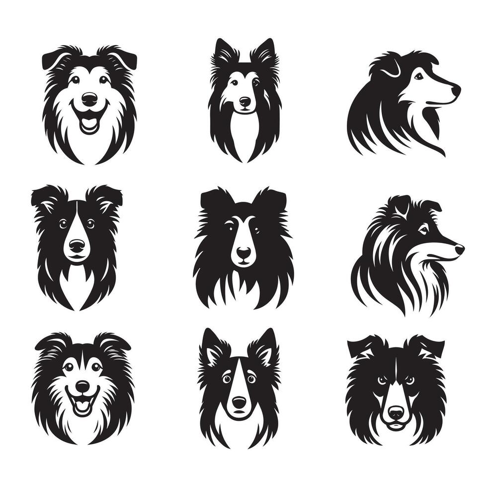 Collection of Collie Dog Face illustration - Collie Dog clipart Design in black and white vector