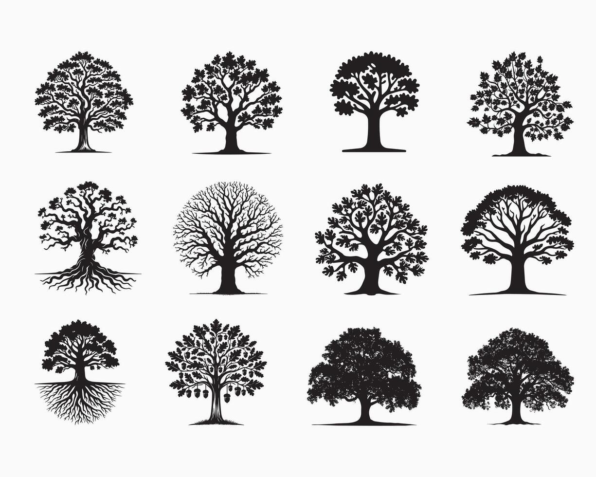 Collection of Oak Plant illustration - Oak Tree Silhouettes Clipart Design vector