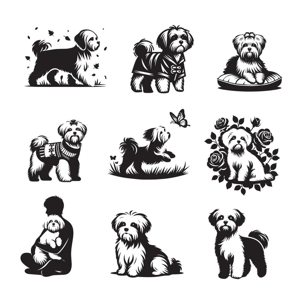 Collection of Miniature Schnauzer Dog illustration - Miniature Schnauzer Dog Different Activities Clipart Design vector