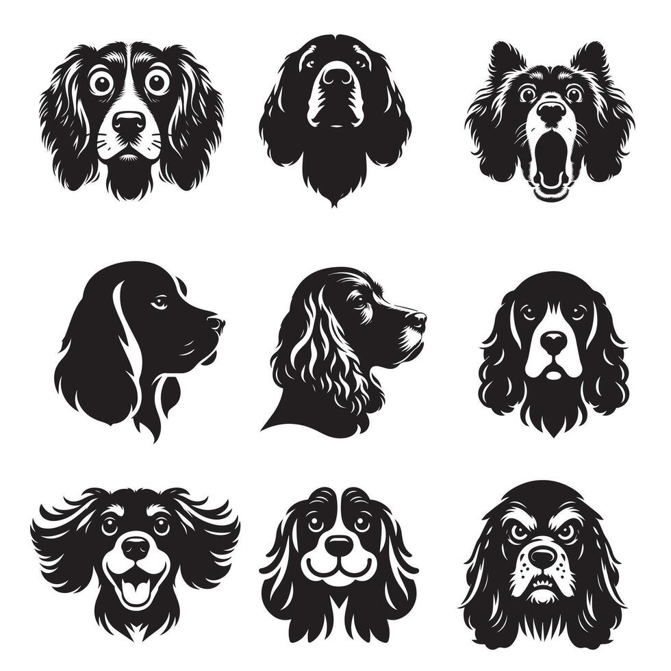 Collection of Cocker Spaniel Dog Face illustration - Cocker Spaniel Dog Silhouette Design vector