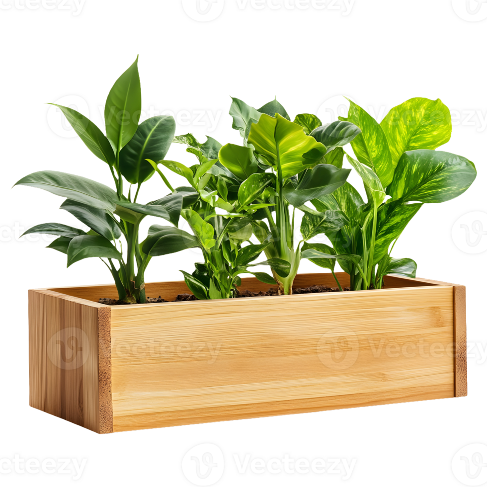 Wooden Planter Box with Flourishing Green Plants Isolated on a Transparent Background png