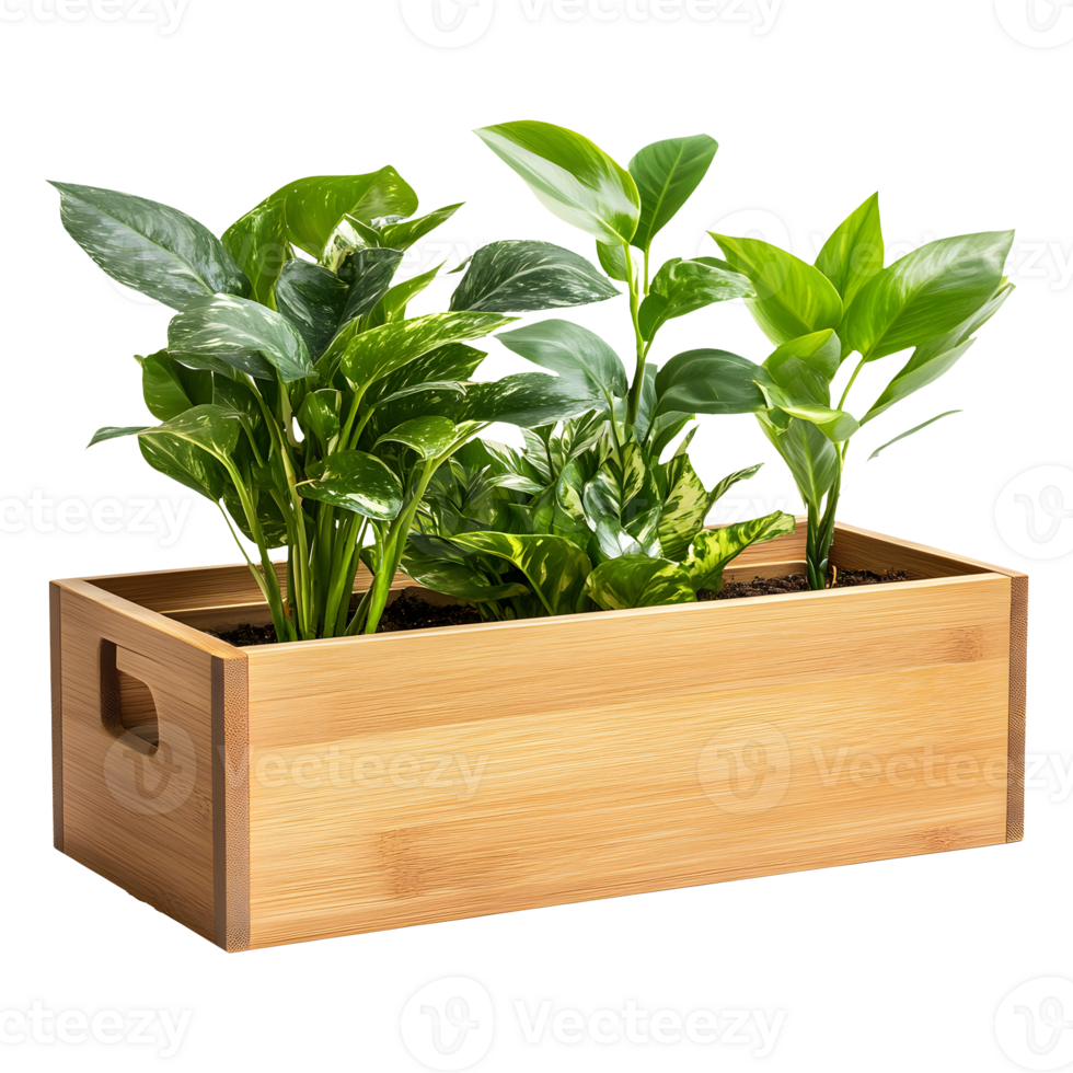 Elegant Wooden Planter Box with Thriving Greenery Isolated on a Transparent Background png