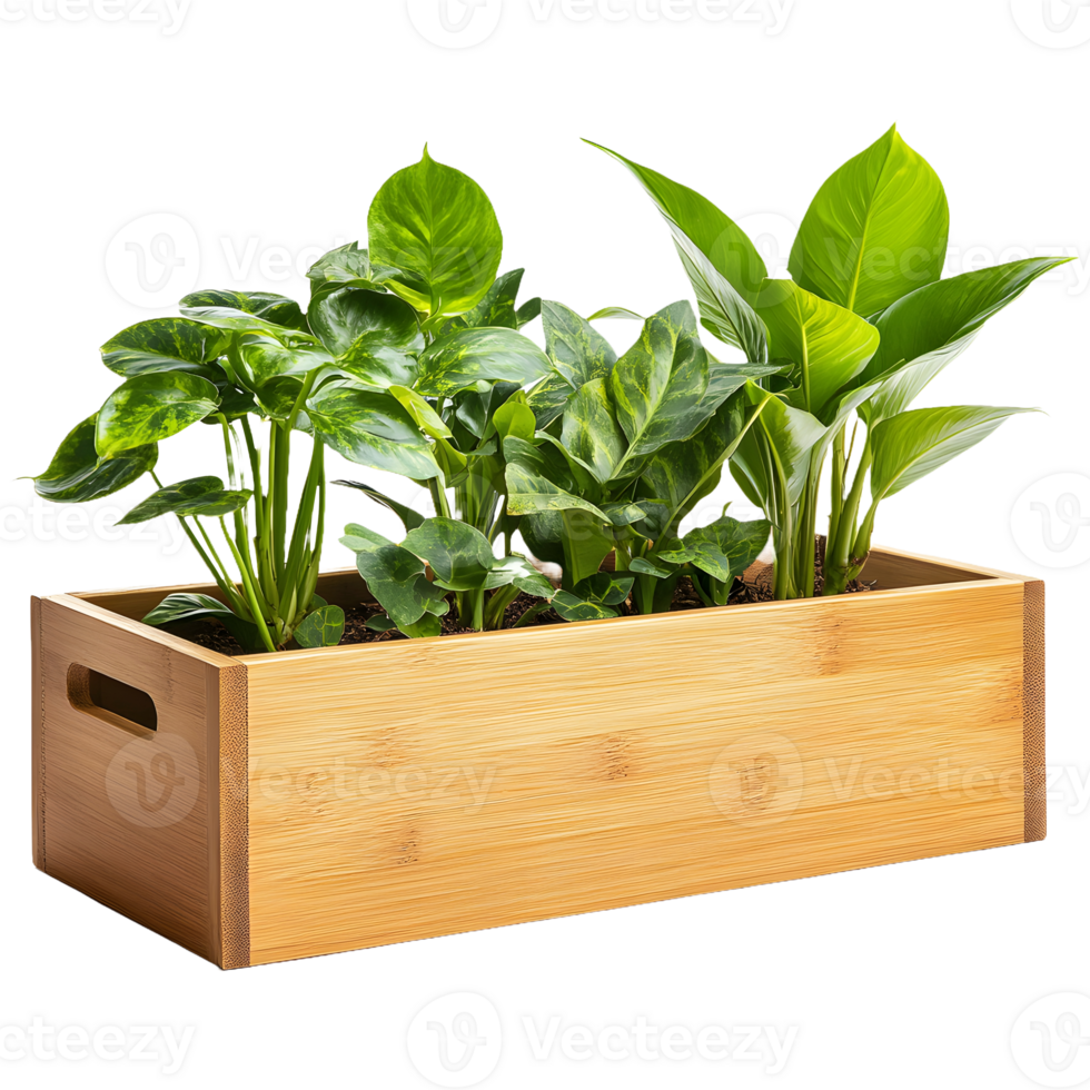 Natural Wooden Planter Box with Fresh Green Foliage Isolated on a Transparent Background png