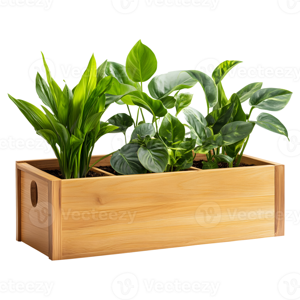 Wooden Planter Box Holding Vibrant Greenery Isolated on a Transparent Background for Product Ads png