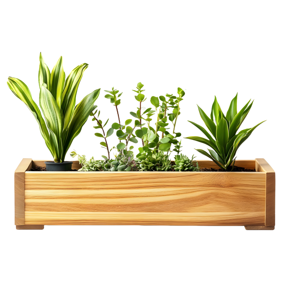 Rustic Wooden Planter Box Filled with Greenery, Isolated for Seamless Use on a Transparent Background png