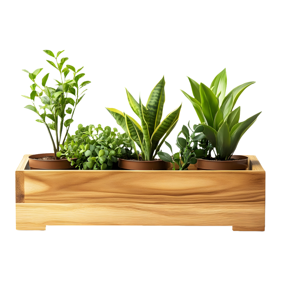Rustic Wooden Planter Box with Healthy Green Plants Isolated on a Transparent Background png