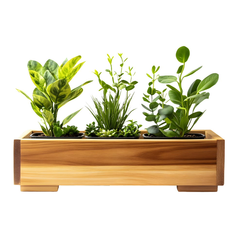 Charming Wooden Planter Box with Beautiful Plants Isolated on a Transparent Background png
