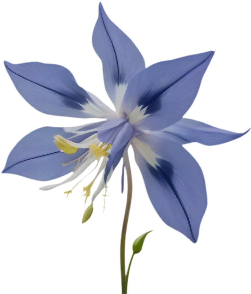 Vibrant Columbine flower in artistic blooming state. . png