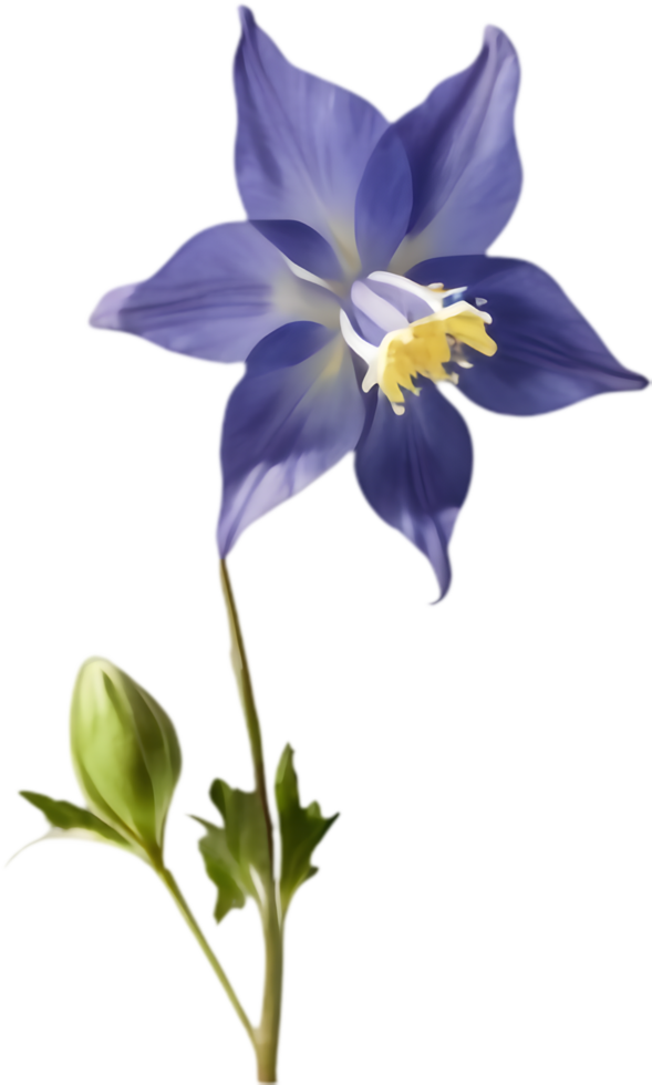 Graceful Columbine flower in perfect bloom illustration. . png