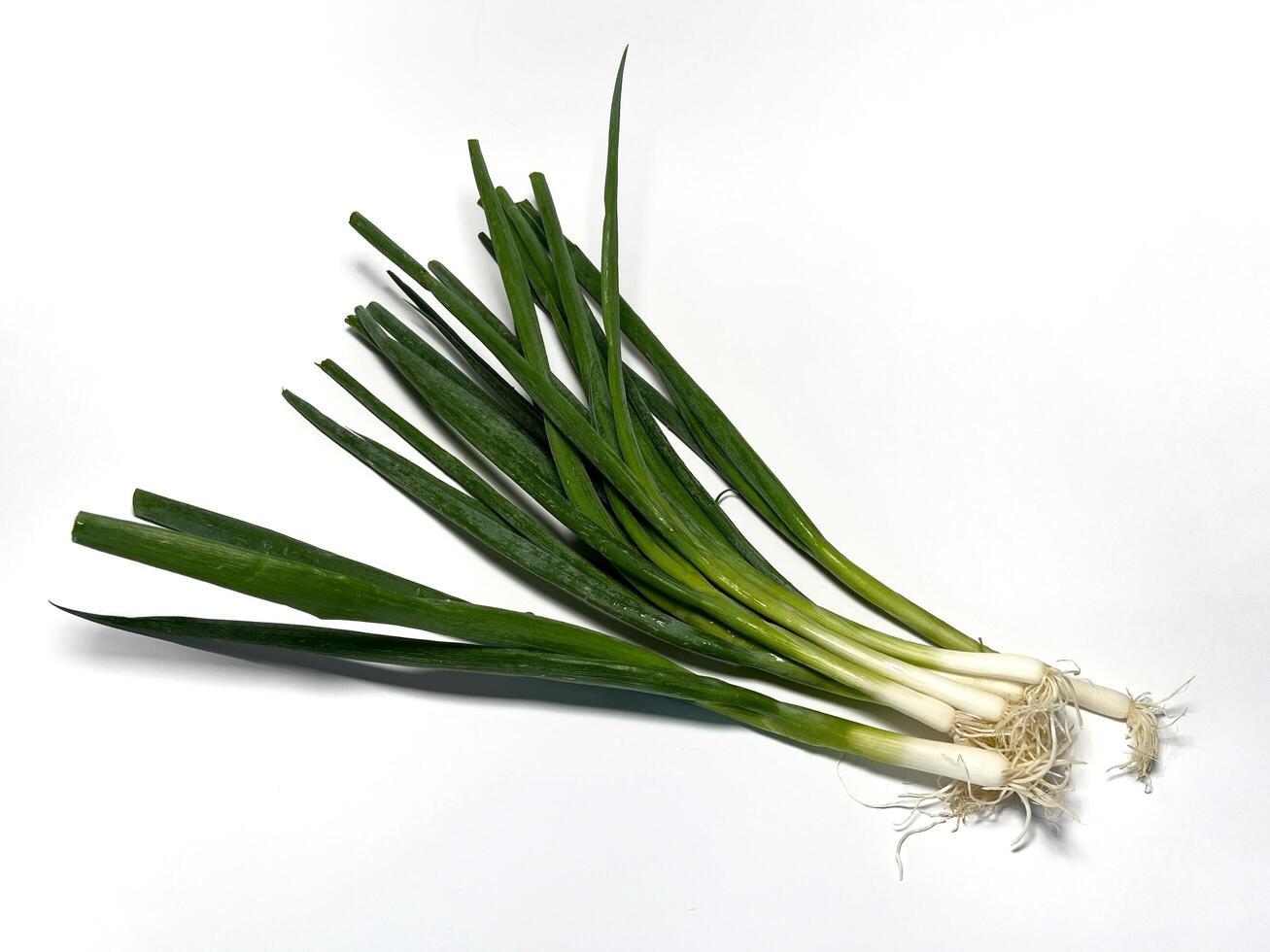 Scallions on white background. Fresh green onions. Vegetables for cooking. photo