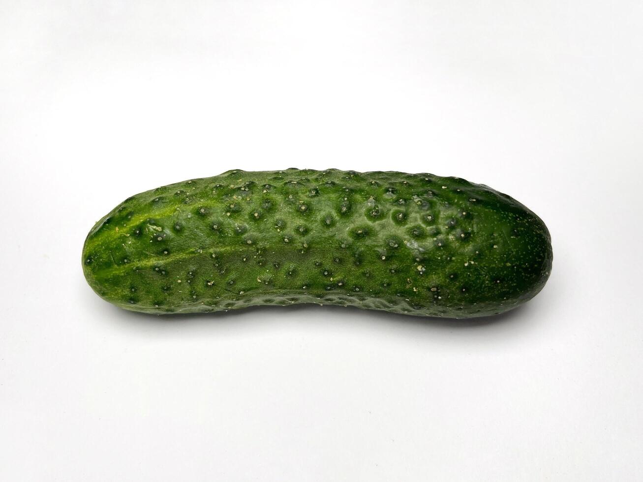 Fresh short cucumber isolated on white background photo