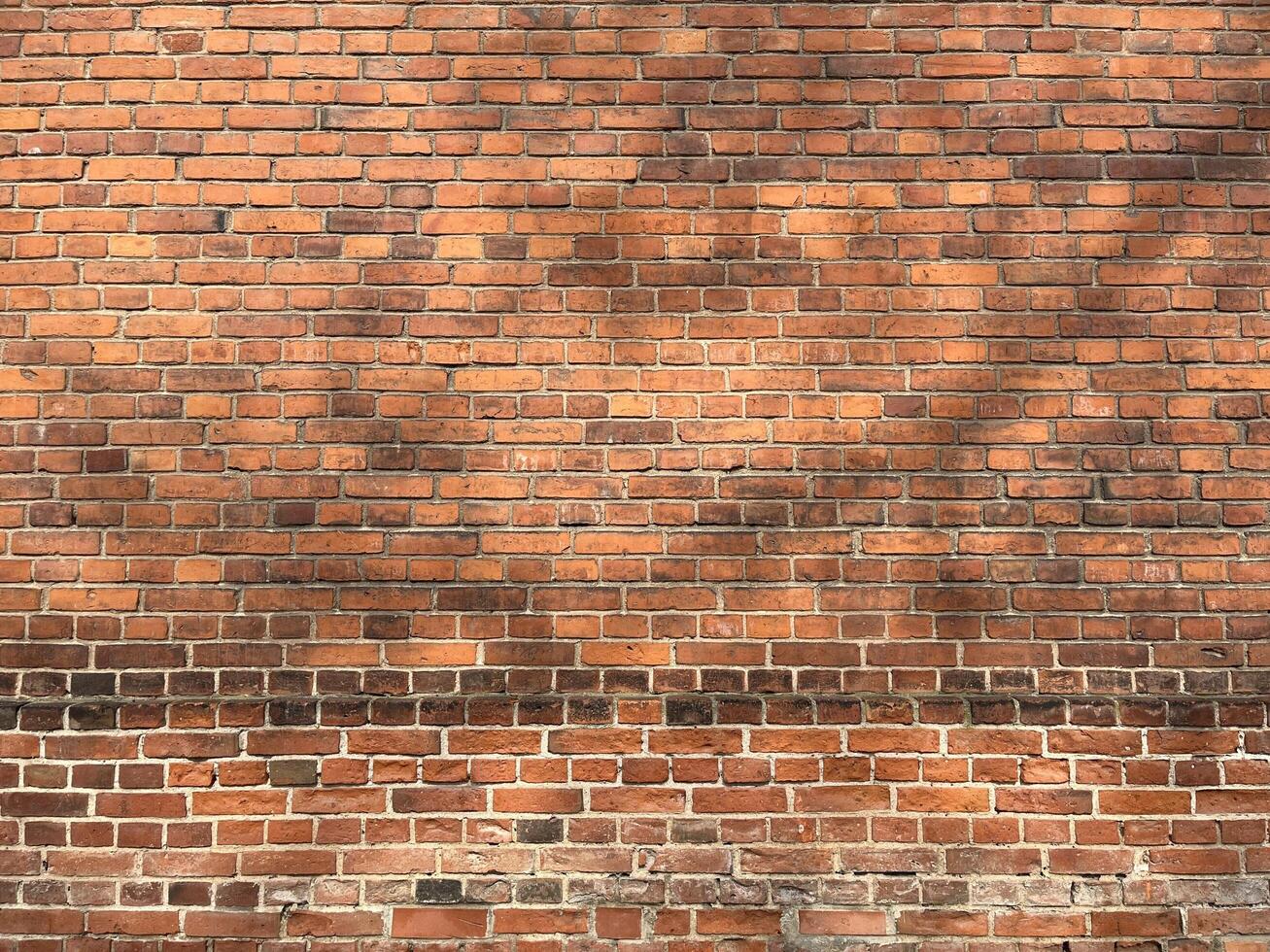 A wall constructed entirely of red brick with variation in color and texture throughout in a traditional pattern, with visible mortar joints that create a grid-like effect with tree shadow on it. photo