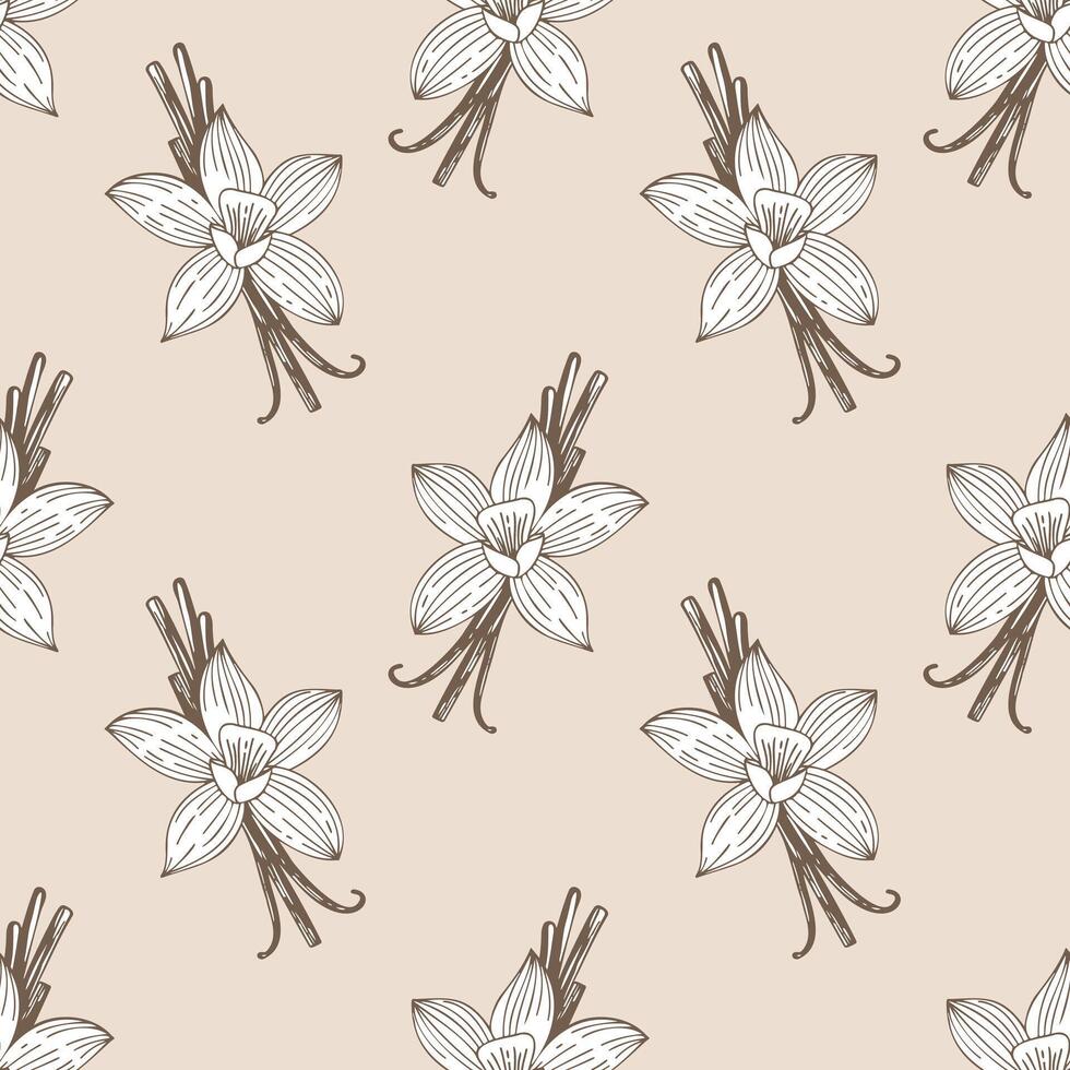 Spice aromatic pattern with vanilla flowers and pods on light pink background. vector
