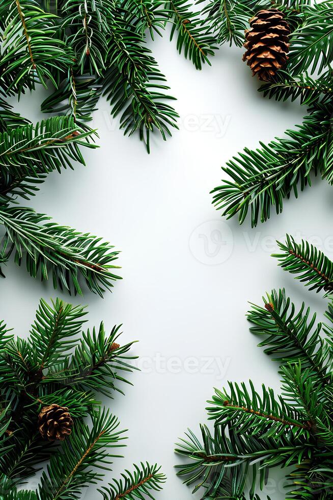 Christmas tree branches vertical frame isolated white background. Winter holidays decoration. photo