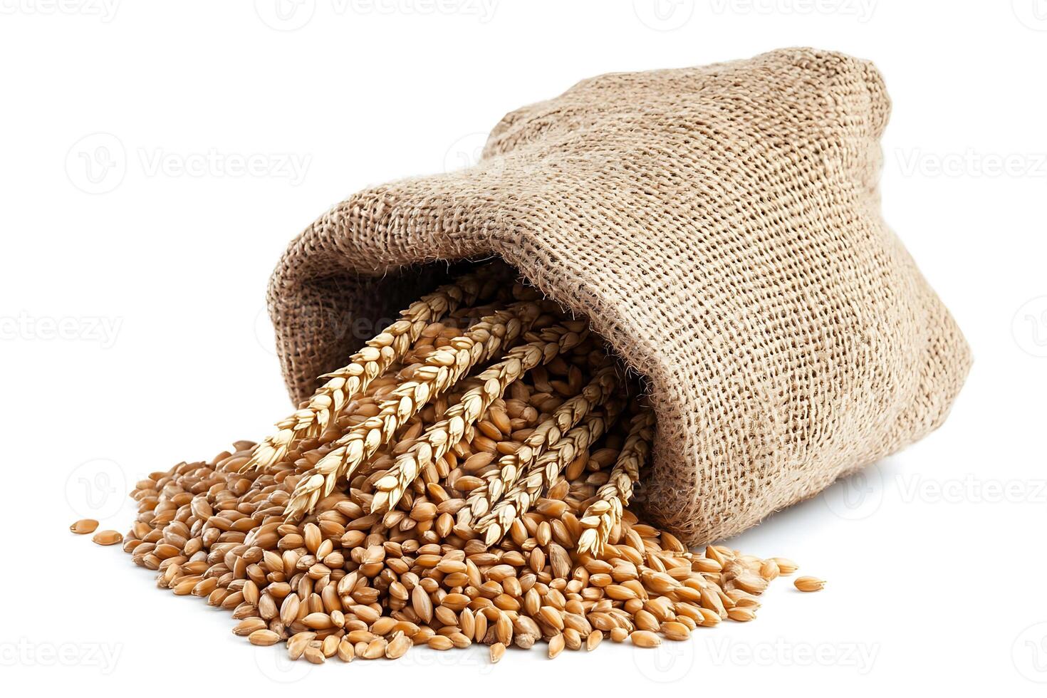 Wheat spike and wheat grain in burlap bag isolated on white space photo