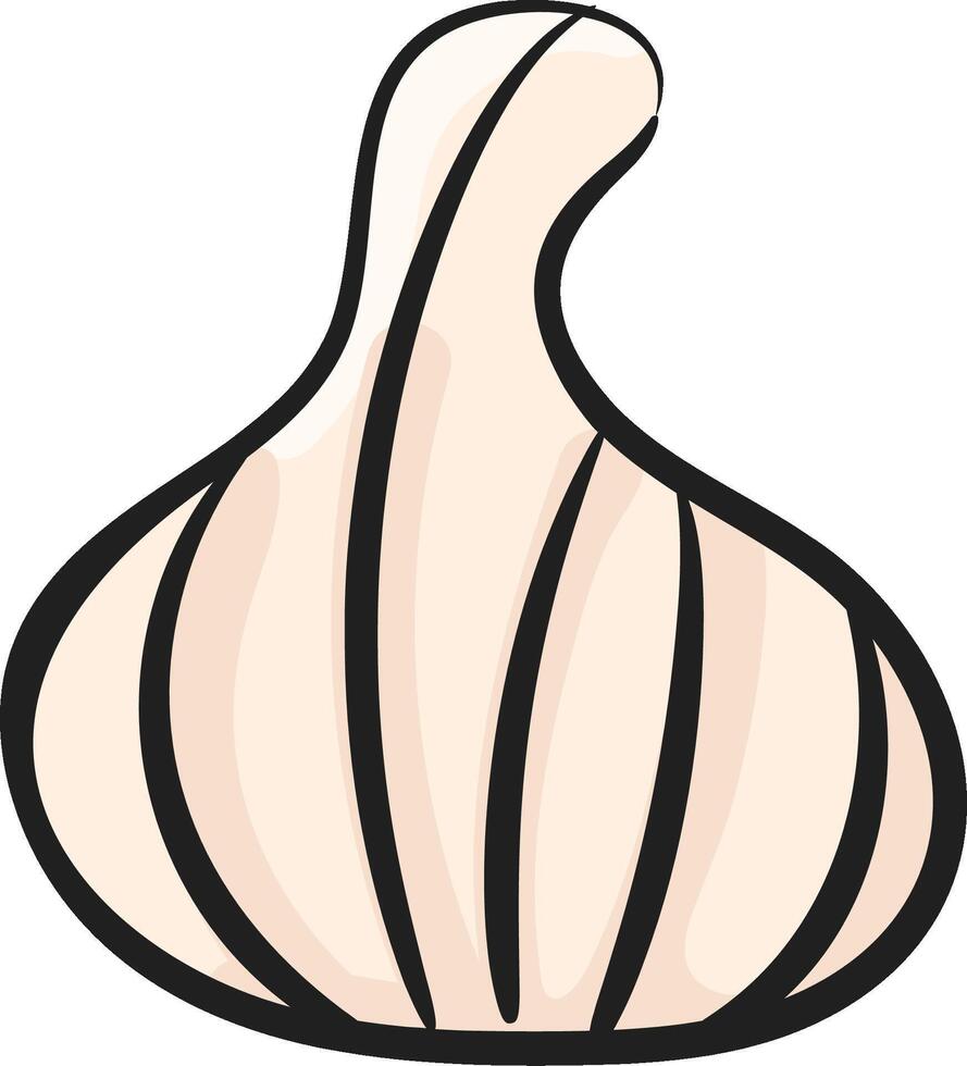 A garlic bulb on a white background vector