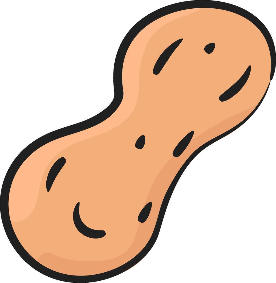 A peanut is shown in a cartoon style vector