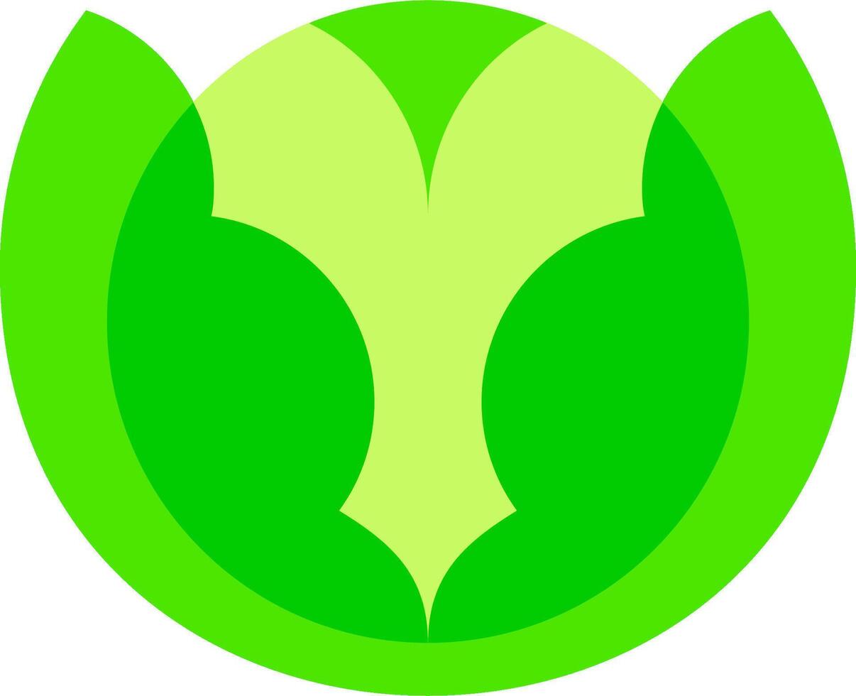 A green leaf with a white background vector