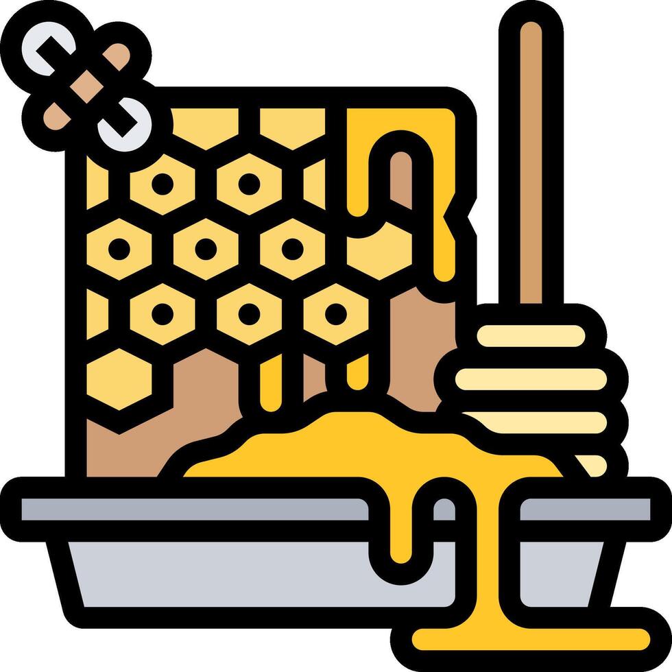 Honey and honeycomb icon vector