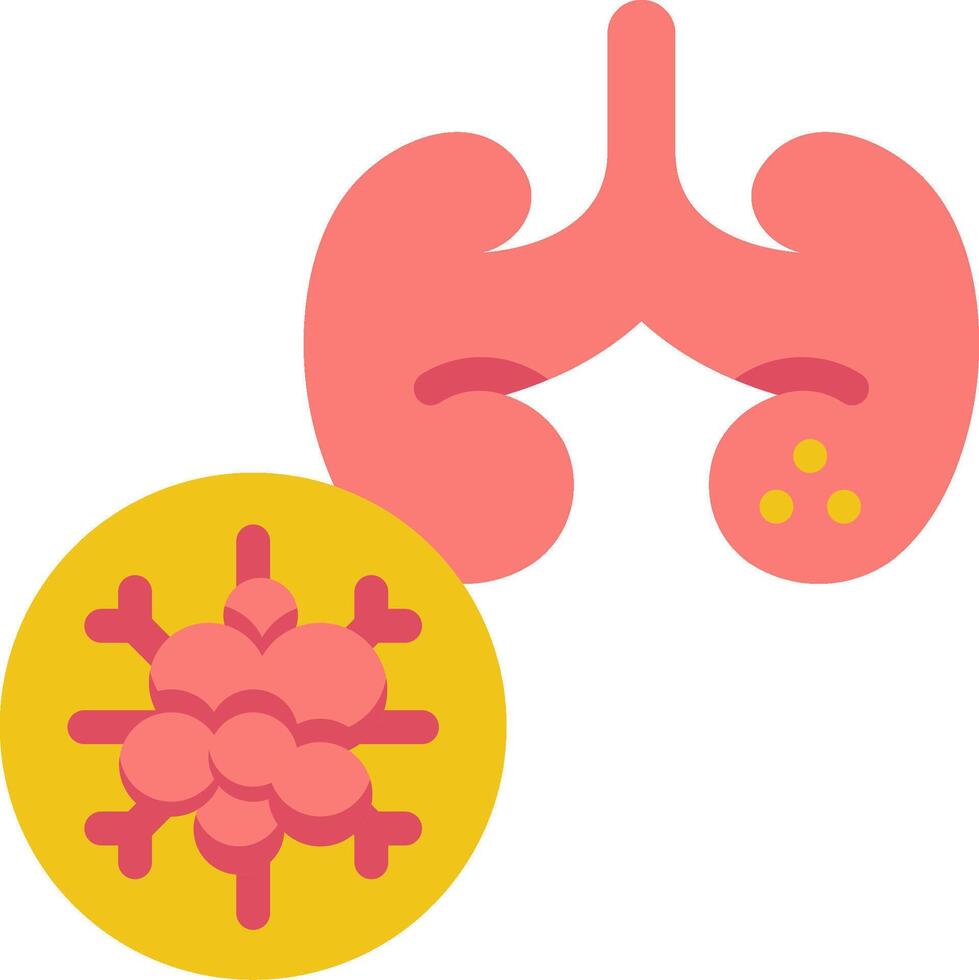 A human kidney and a virus vector