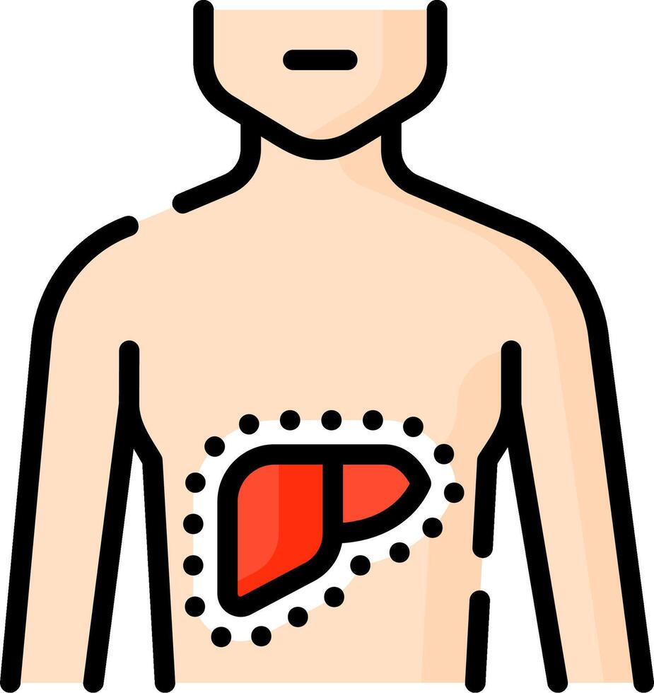 Liver icon illustration vector