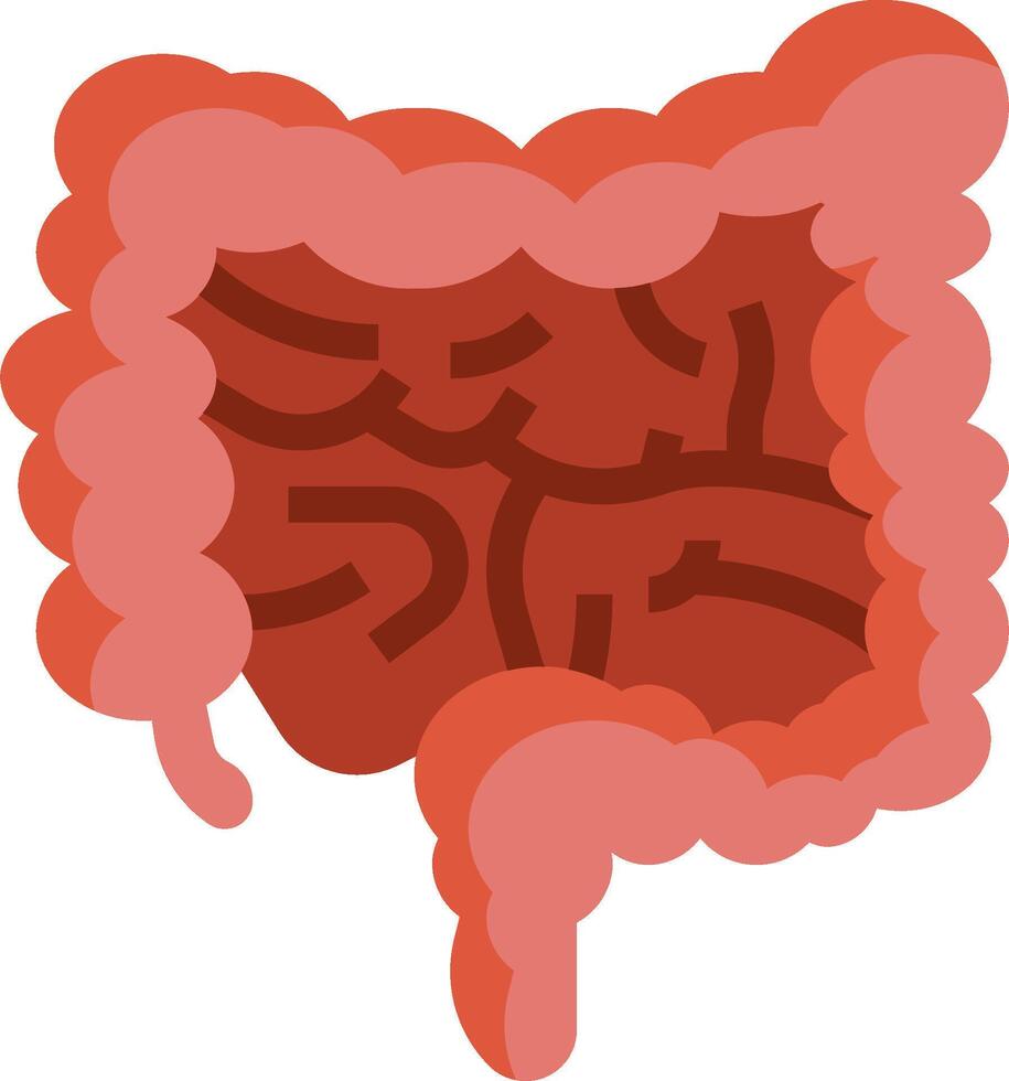 An illustration of the human digest vector