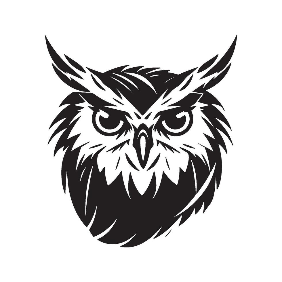illustration of owl bird with white background vector
