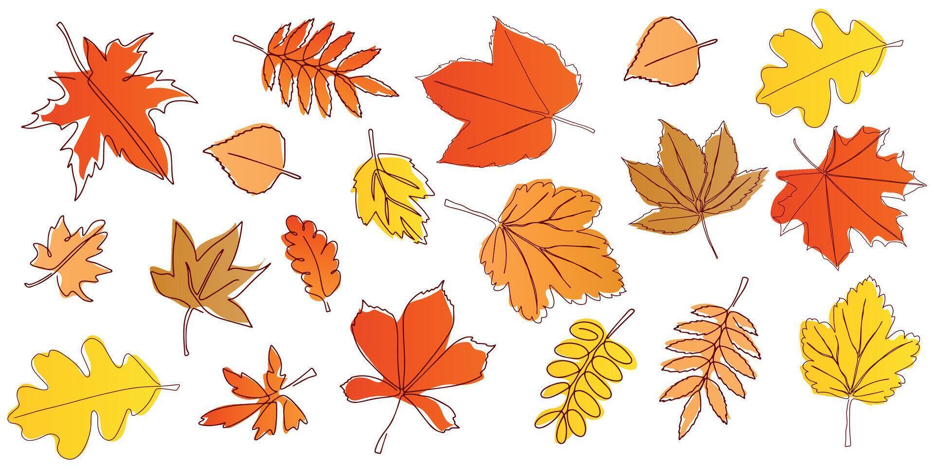 Set of bright autumn leaves. Background for textile or book covers, wallpaper, design, graphics, printing, hobby, invitation. . vector