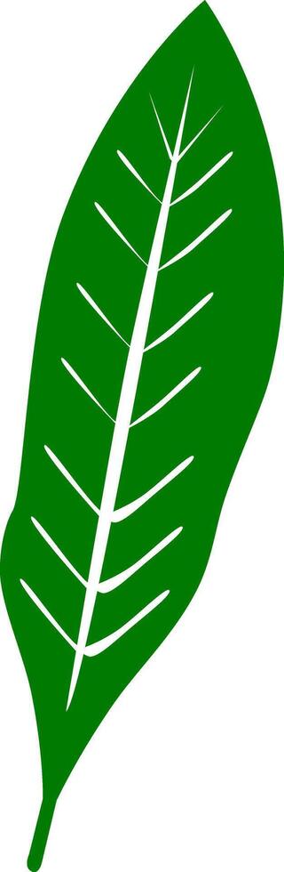 Exotic Jungle Plant Eco Label Element. Eco-Friendly Vegan Bio Design. Tropical Jungle Green Leaf . Eco Vegan Bio Label Illustration. Sustainable Development Goals. illustration vector