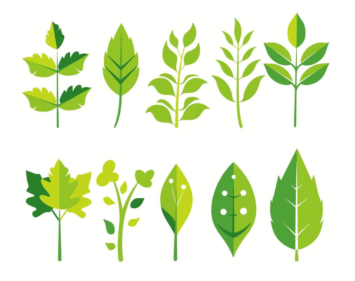 Green leaf icons set vector