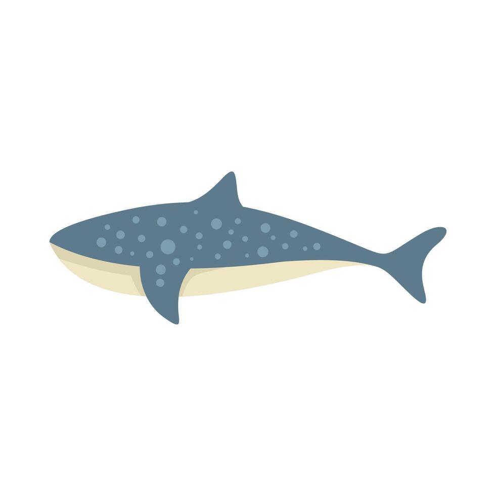 Whale shark swimming underwater in the ocean vector