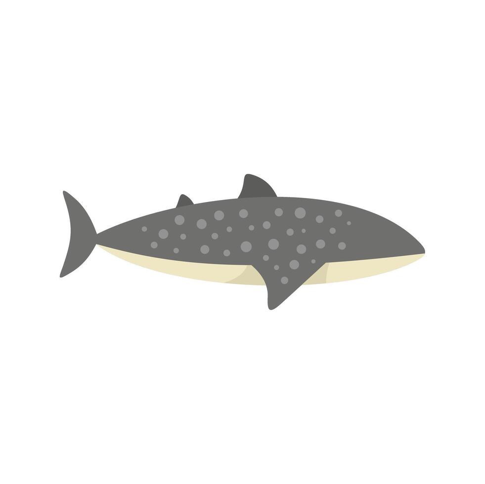 Whale shark swimming underwater marine wildlife illustration vector