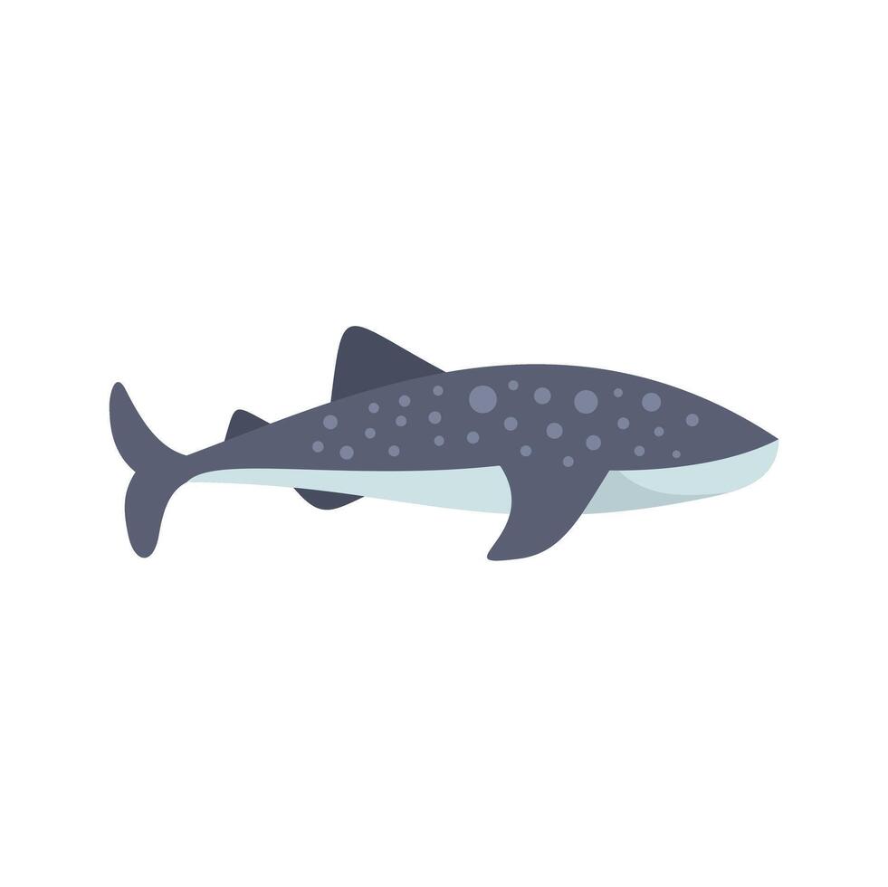 Big whale shark swimming peacefully in the ocean vector