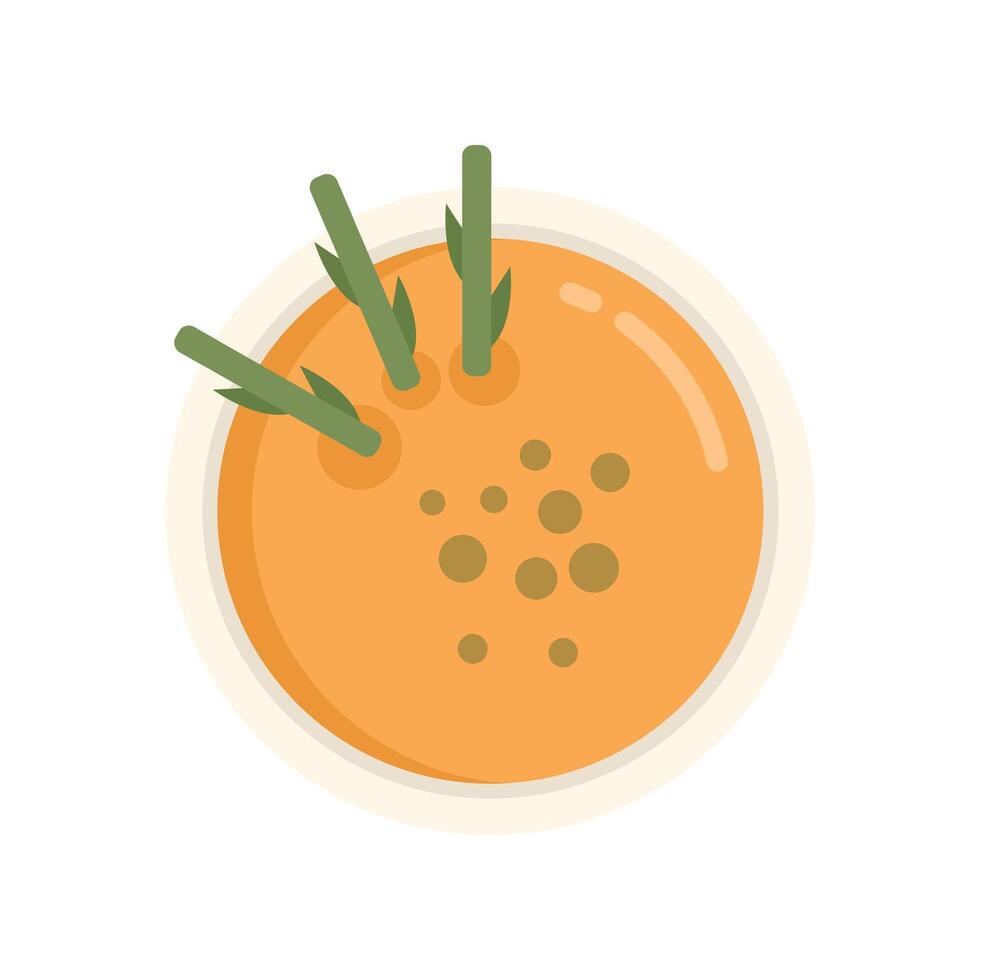 Vegetarian pumpkin cream soup decorated with herbs top view vector illustration
