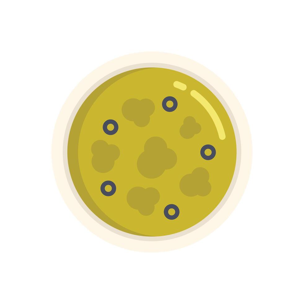 Petri dish with colonies of bacteria growing in culture medium vector