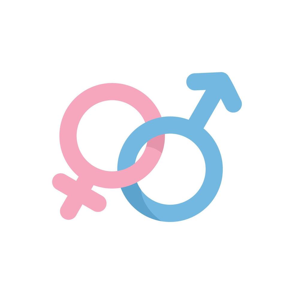 Pink female and blue male gender symbols intertwined representing heterosexual love and relationships vector
