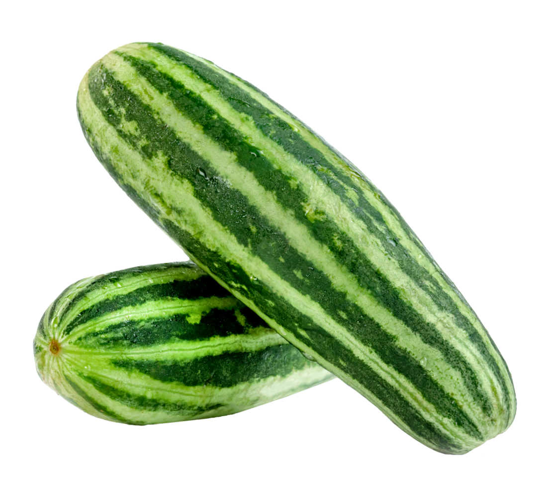Cucumber or Cucumis melo isolated png