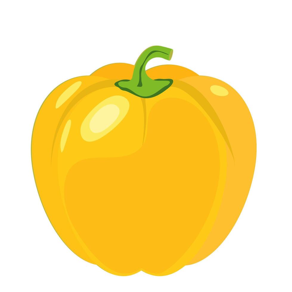 Beautiful yellow bell pepper on white background vector