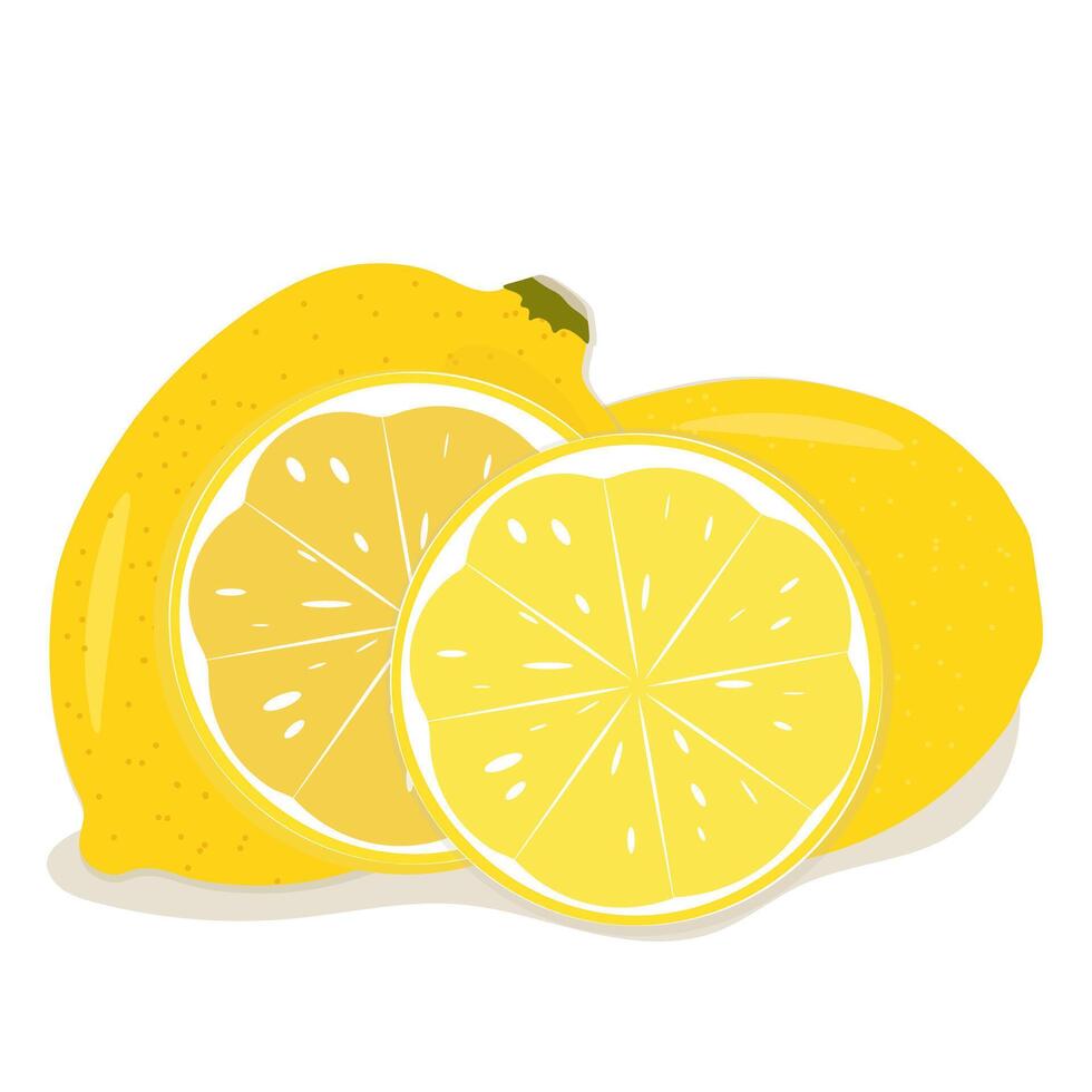 Whole and sectioned citrus fruit lemons on white background vector