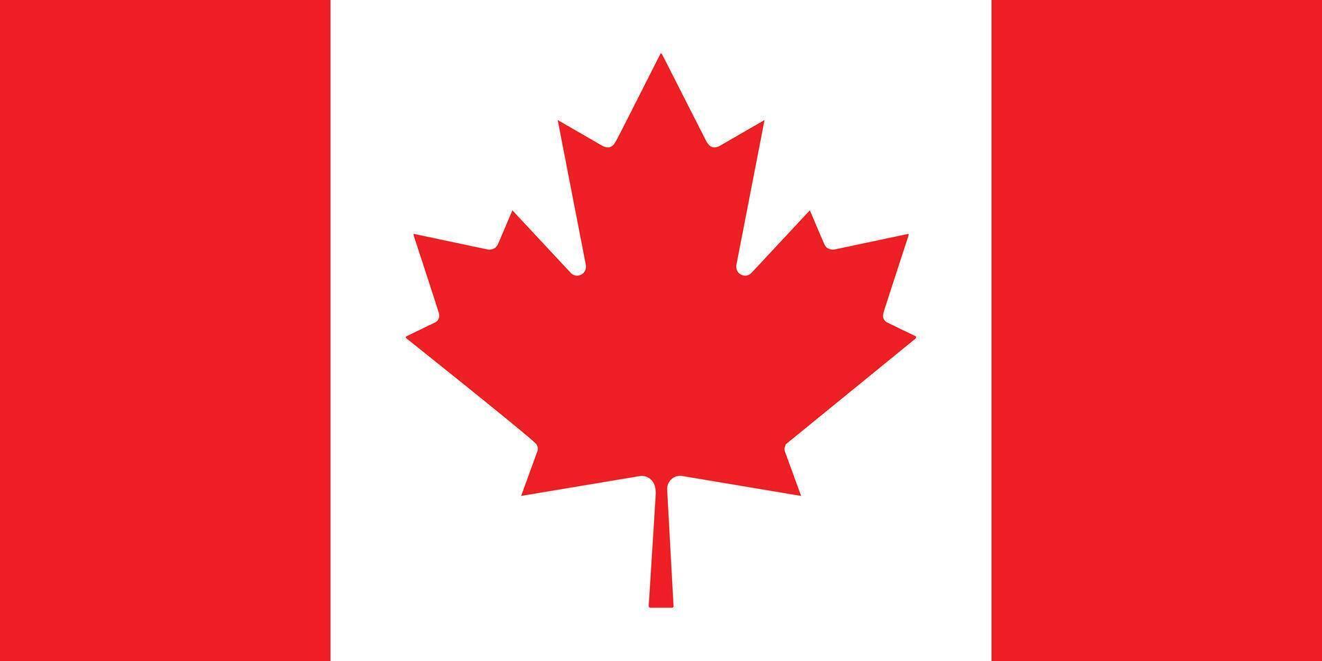 Canada's national flag, the Maple Leaf. Flat drawing vector